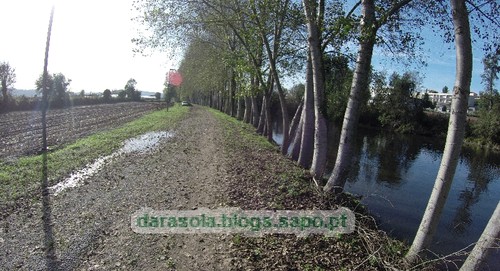 Margens rio Ave Trofa 10.JPG