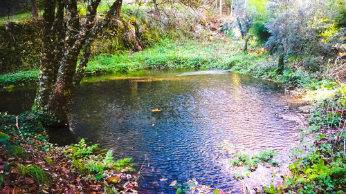 AdobePhotoshopExpress_6820ef137776451fbc058455eb92