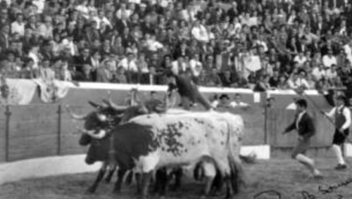 Luis Rui e A. Maltez-1064.png Luis Rui e A. Maltez-1064.png