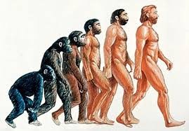 Neandertal #3.jpg
