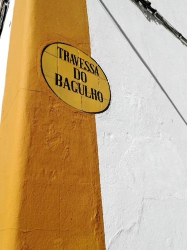 COPYRITGHT O RAPAZ DAS ILHAS