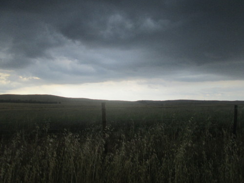 IMG_5810.JPG IMG_5810.JPG