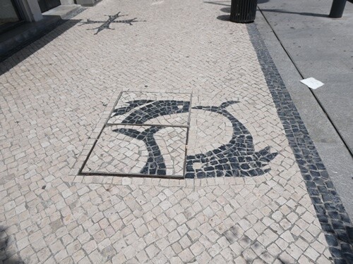 P1044653.JPG