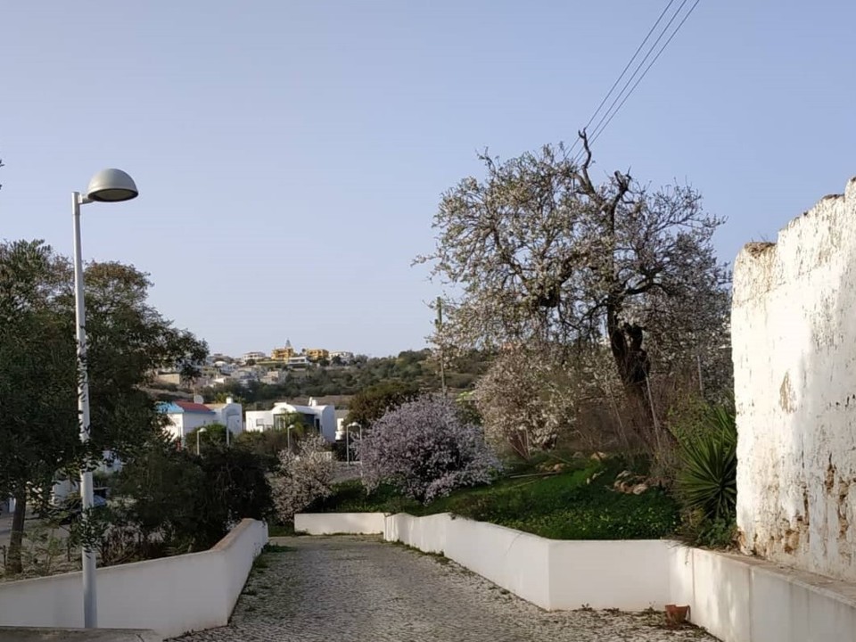 272134442_471363604620802_8017446187291924511_n.jp