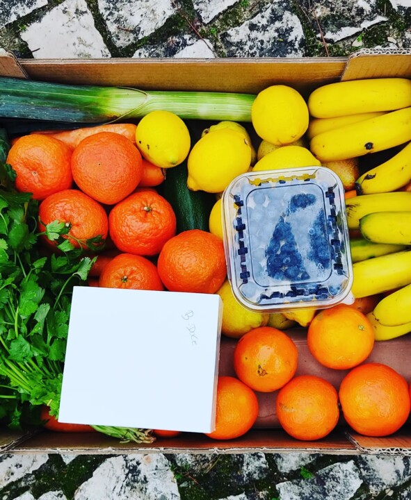 318561330_2490069791132767_6088126754996866245_n.j