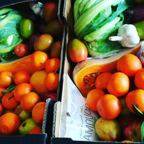 51533577_1298621453610946_7741228404107640832_n.jp