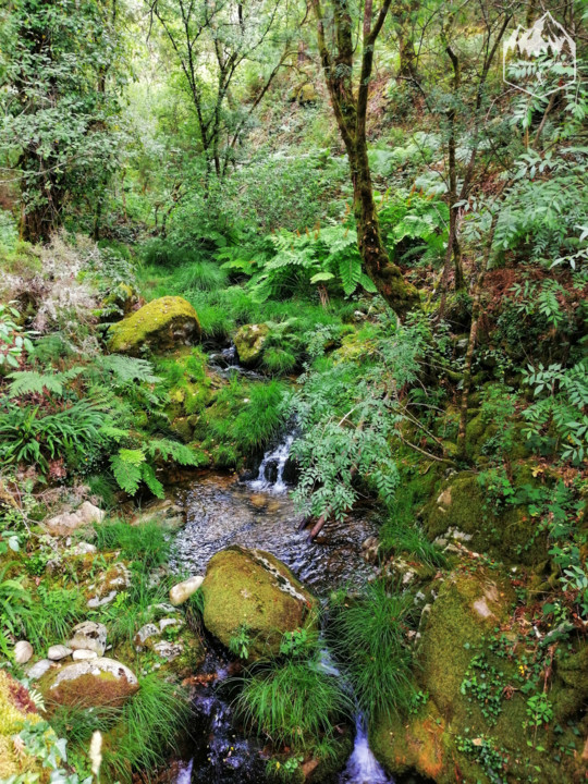 Photo_1597132607764.jpg Photo_1597132607764.jpg