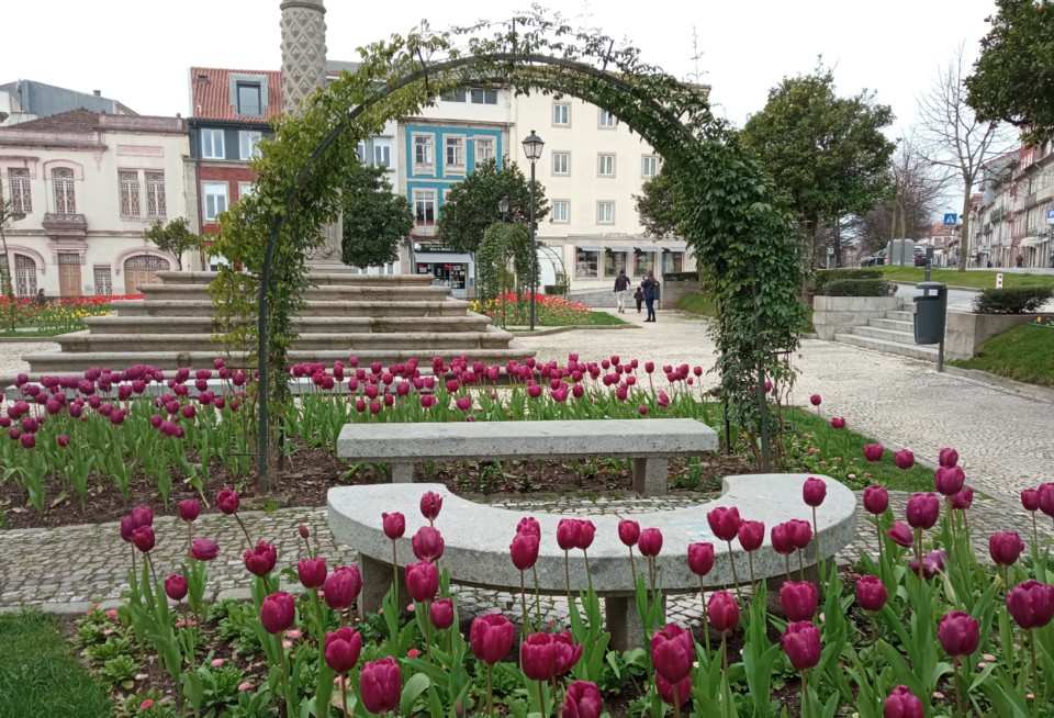 IMG_20210223_120541.jpg IMG_20210223_120541.jpg