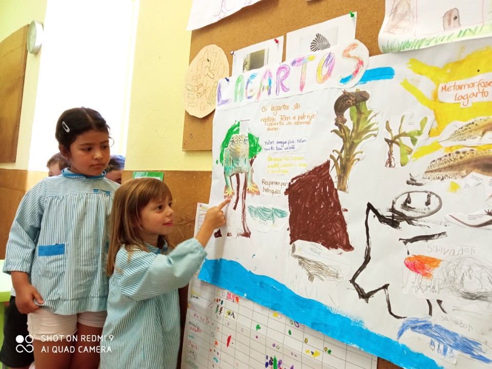 IMG_20210727_142735 (1).jpg