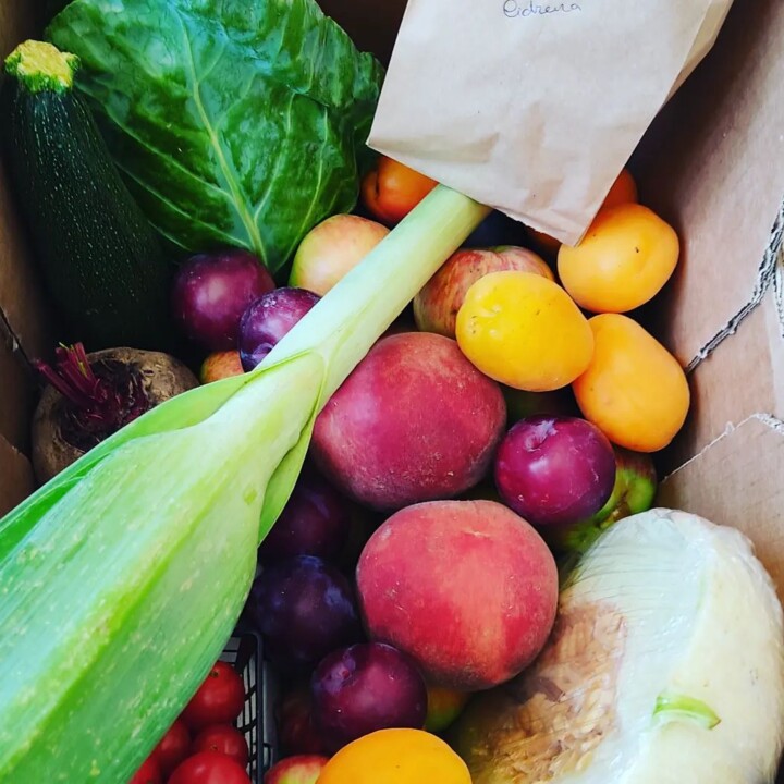 360118976_657080503116030_4587860035205681979_n.jp