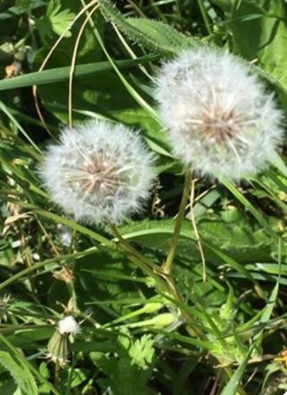 59687861_10215058368278612_8551086853325848576_n.j