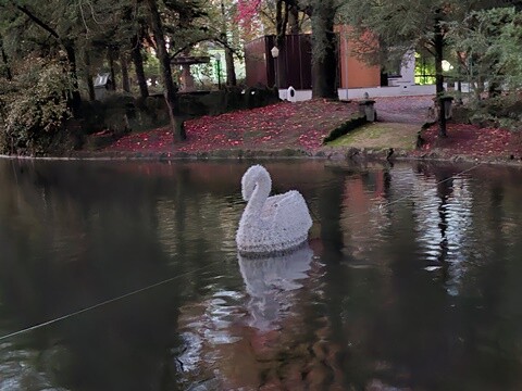 08a_Caminhada_Matinal (14).jpg