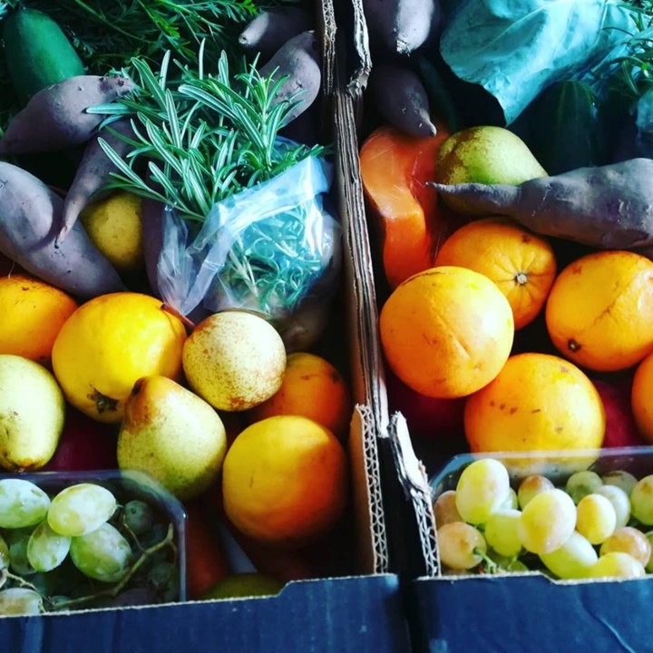 70774486_1471429176330172_3891688949445296128_n.jp