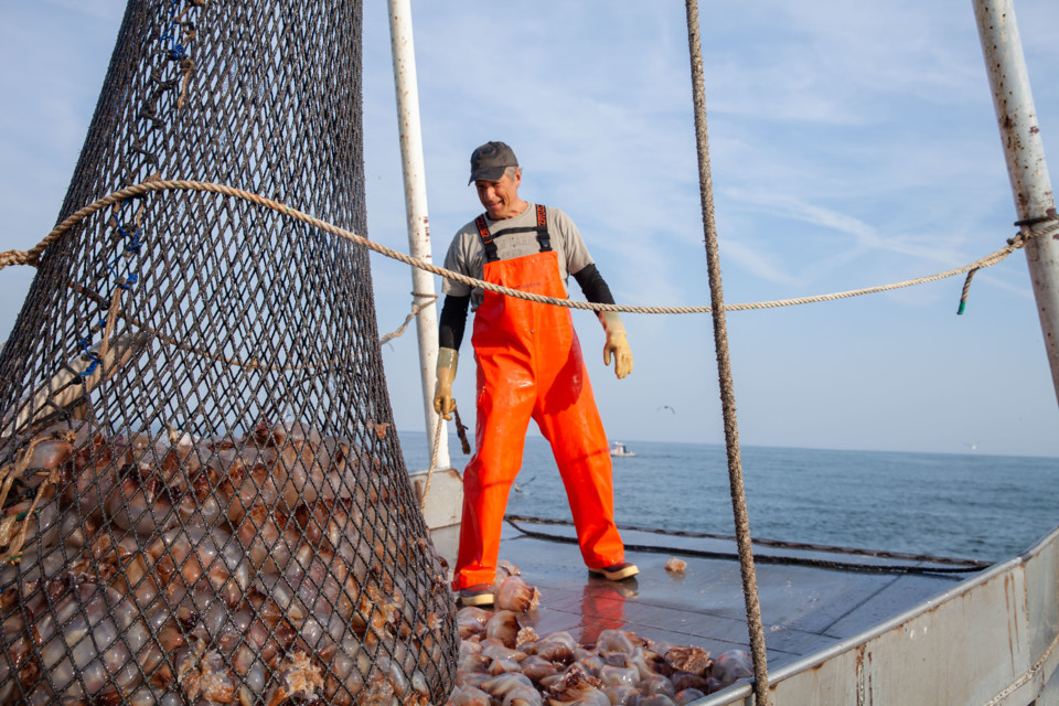 DIRTY JOBS T9 (1).jpeg