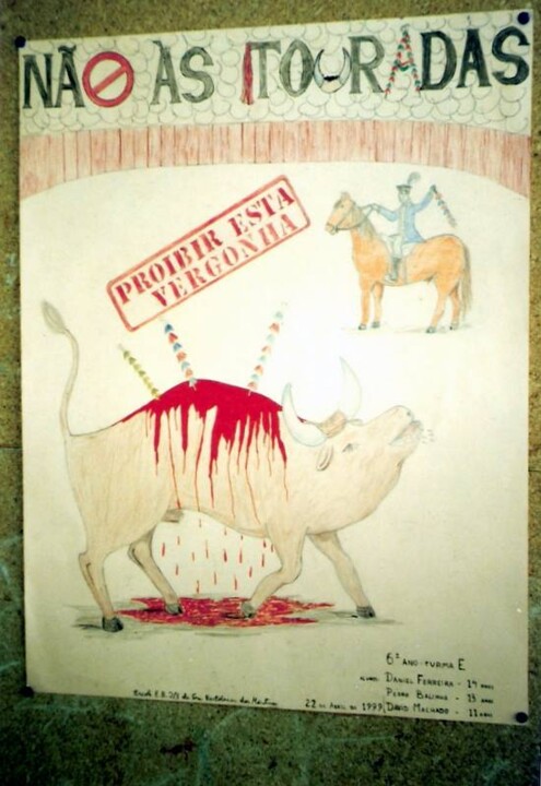 NÃO ÀS TOURADAS.jpg