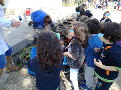 InkedIMG_20180321_150643_LI.jpg InkedIMG_20180321_150643_LI.jpg