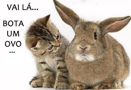 bota um ovo de páscoa.jpg bota um ovo de páscoa.jpg