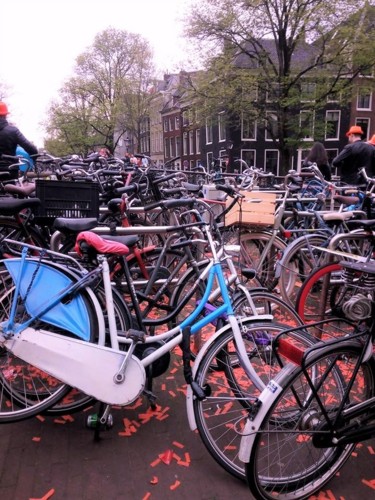 31504004_1665906200161691_4880699585615364096_n.jp