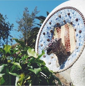 IMG_7428.JPG IMG_7428.JPG