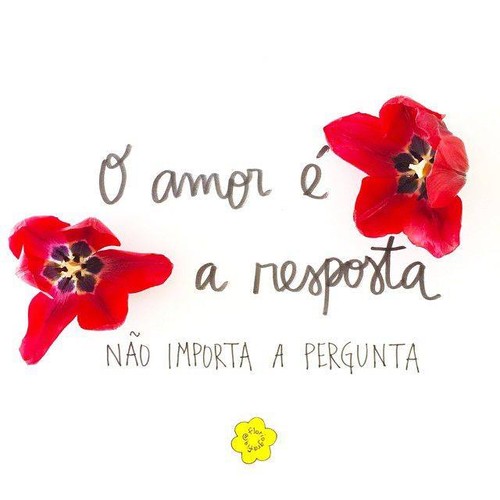amor6.jpg amor6.jpg