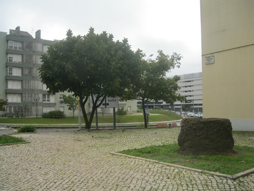 outono2 005.JPG