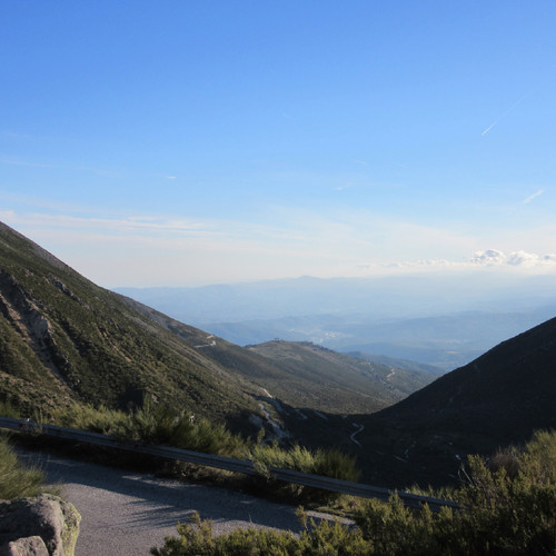 IMG_0754.JPG IMG_0754.JPG