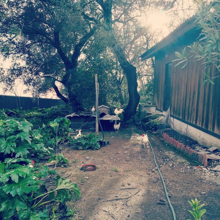 82401615_10157070548878565_9163395421316317184_o.j