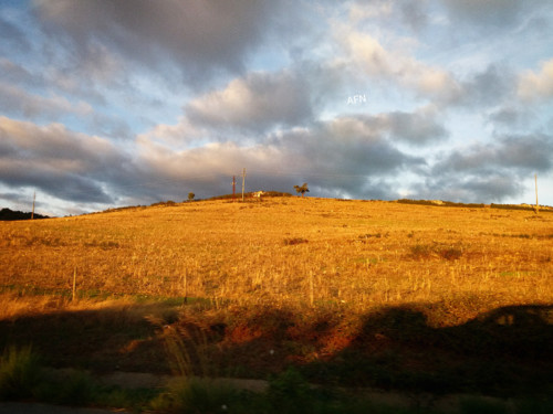 InShot_20181103_134301971.jpg InShot_20181103_134301971.jpg