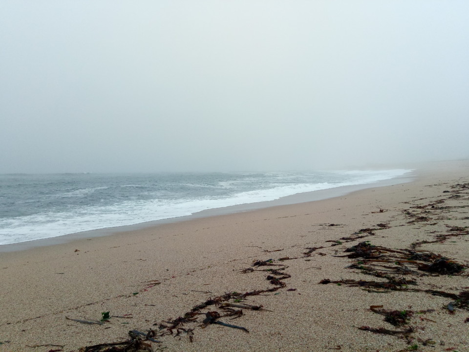 2019-07-23 10.12.09.jpg