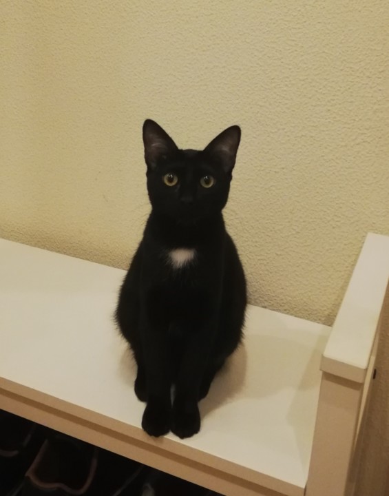 IMG_20201120_151013.jpg IMG_20201120_151013.jpg