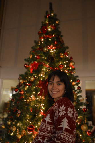 Arvore2018 (41 de 49).jpg