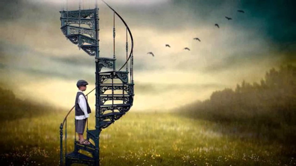 20280552_1646145735410034_7208742347786201078_o.jp