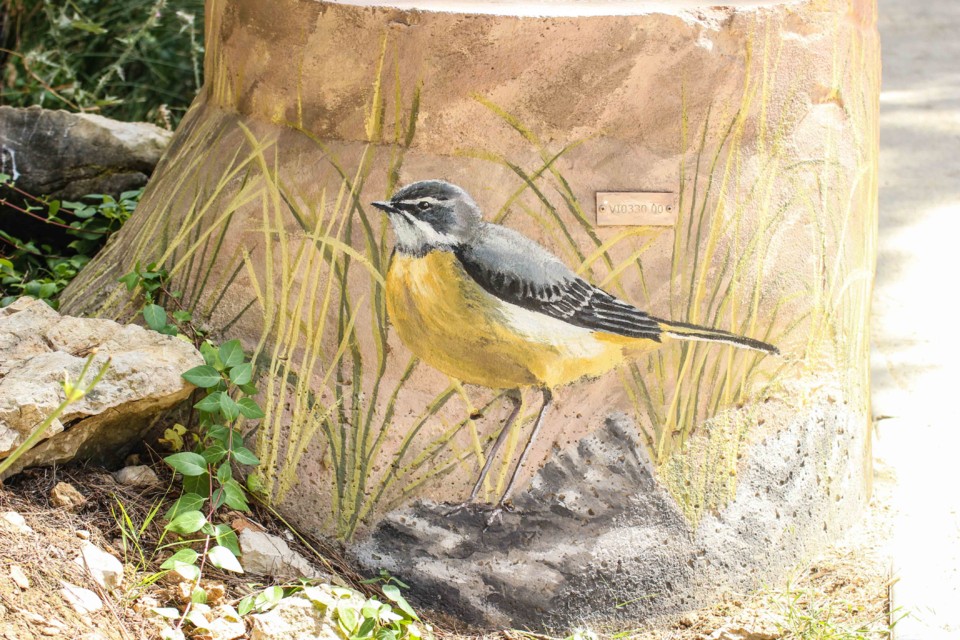 trilho das vinhas-41.jpg