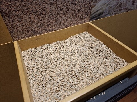 26a_Arouca (105).jpg