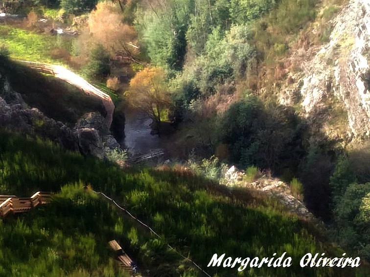 131462140_3989178441101111_2566098158415755621_n.j