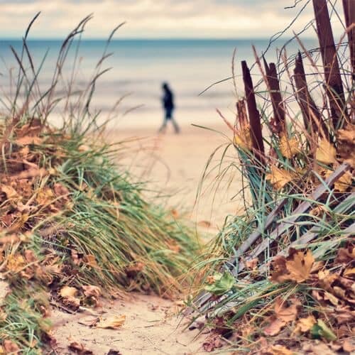 311488485_487669676737695_5251602537717058635_n.jp