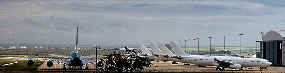 P1070125 - Cópia.JPG