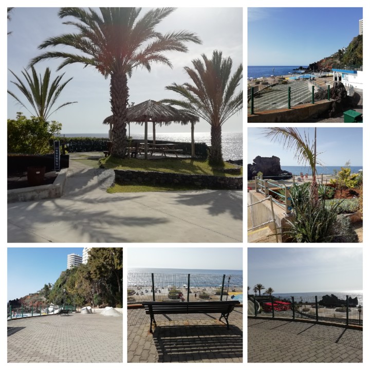 IMG_20201101_113008-COLLAGE.jpg IMG_20201101_113008-COLLAGE.jpg