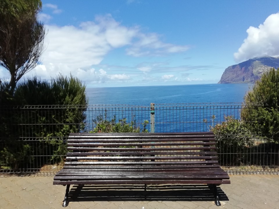 IMG_20200614_121922.jpg IMG_20200614_121922.jpg