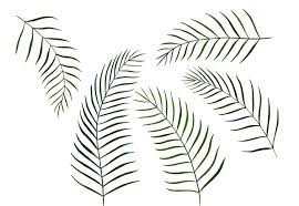 folhas.jpg folhas.jpg