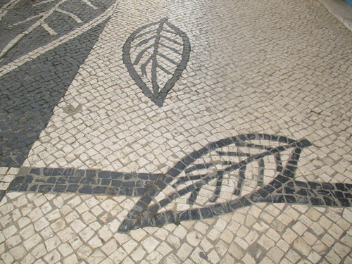 acempelo 021.JPG acempelo 021.JPG