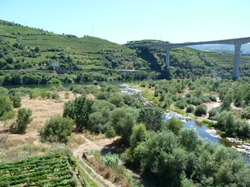 03 régua.JPG 03 régua.JPG