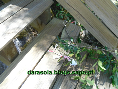 Passadicos_paiva_071.JPG Passadicos_paiva_071.JPG