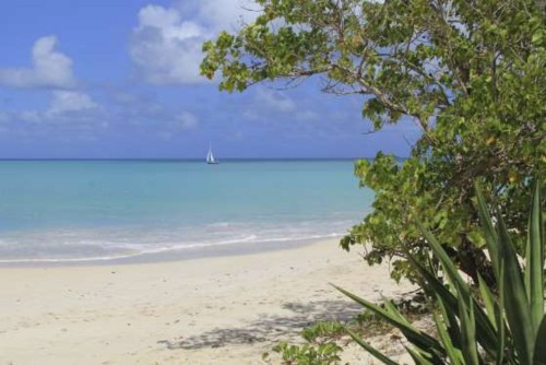Mile Beach, Barbuda.jpg