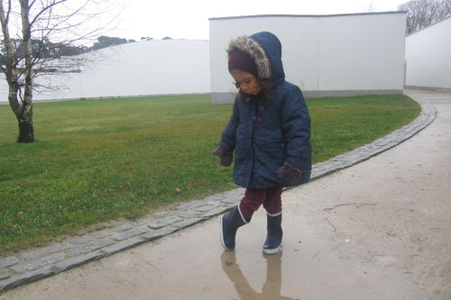 IMG_1820.JPG IMG_1820.JPG