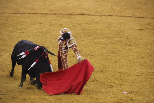 manuel veiga_1012.JPG