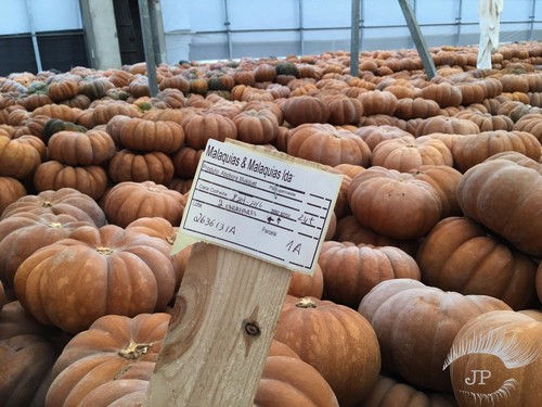 Slide4.jpg Slide4.jpg