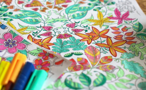 livros-de-colorir-para-adultos.jpg