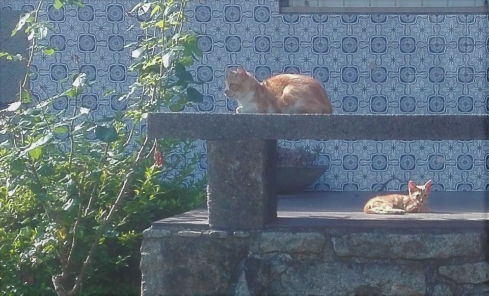 IMG_20200616_192841.jpg IMG_20200616_192841.jpg