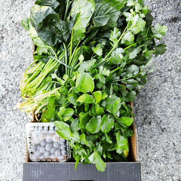 272631539_2220941704712245_7096882237117522224_n.j